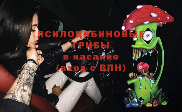 эйфоретик Алзамай
