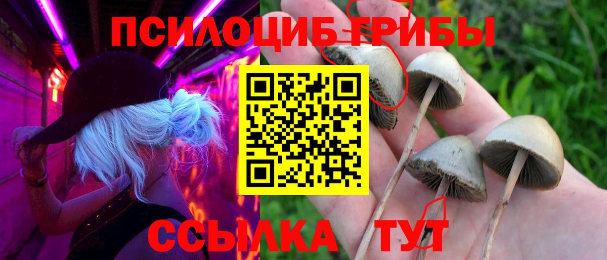 Сертолово  Псилоцибиновые грибы прущие грибы  Вход с VPN 